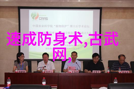 古代武林门派之风云变幻揭秘千年名门