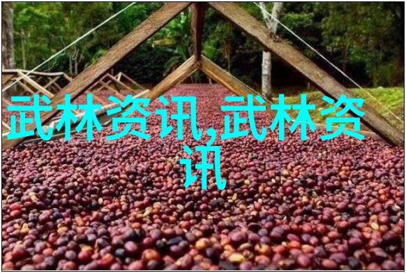 揭秘太极劲王春昱指引的太极拳24式图解大师
