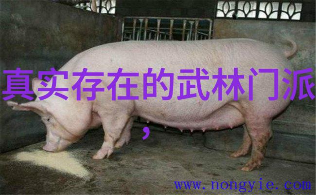 武林至宝十大绝学秘籍武林中最强的武功秘籍