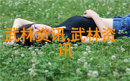 我想学武术自学怎么学自行练习的秘诀从入门到精通的武术学习路线
