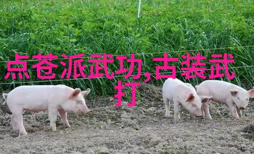 武功门派之旅探寻中国太极螳螂拳的自然韵律