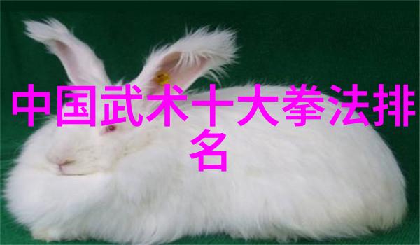 儿童散打武术之旅激发活力培养自信