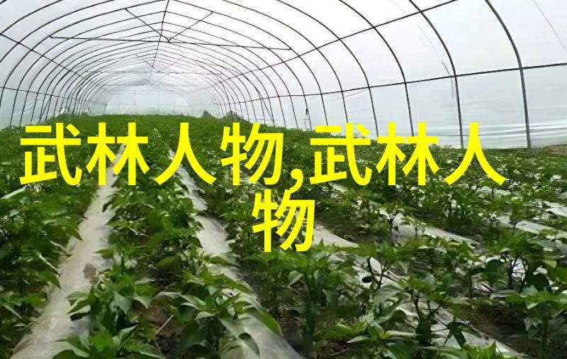 在无尽的星辰之下哪一座玄幻宗门能够支配宇宙的命运