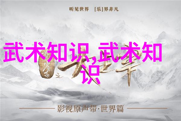 什么是适合初学者的武功自学教学视频