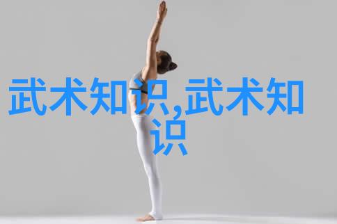 八极拳自学成功性考量