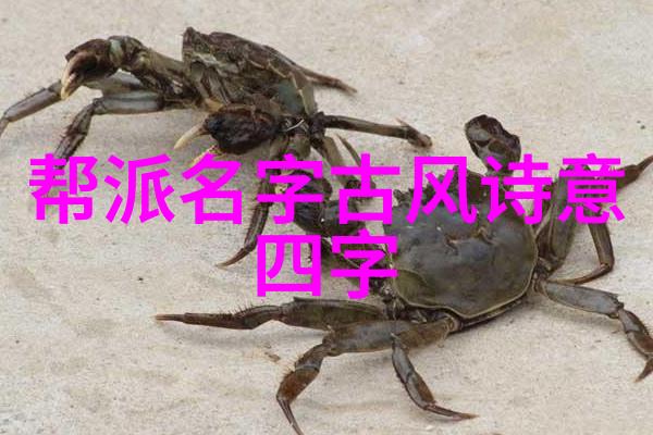 在上海高尔夫俱乐部的赛场上拜伦尼尔森的60杆成绩是否足以让人惊叹他的表现是不是太过神奇以至于其他选手