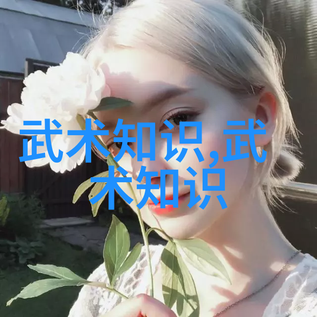 武林秘籍探秘屠龙记中的二十一门派