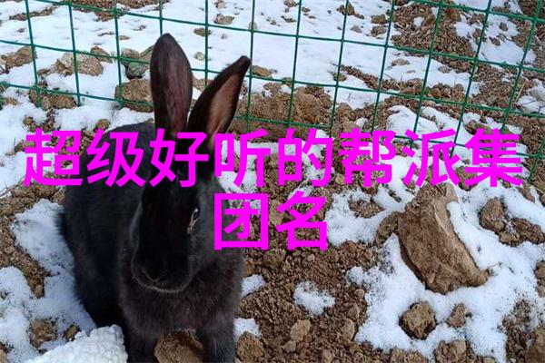 武功秘籍图片的学术研究解读古代武林技艺图像背后的文化与历史意义
