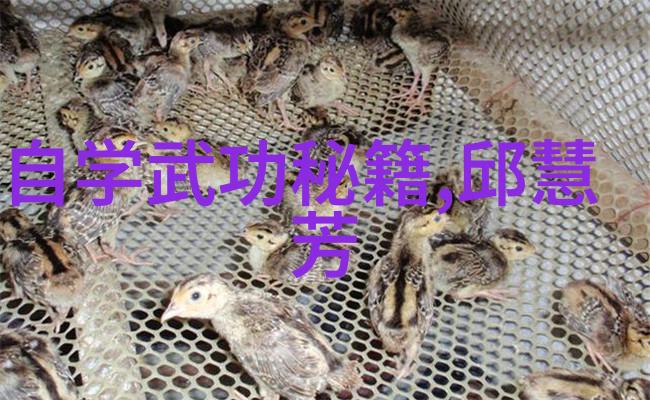 幽灵刺客联盟暗影下的英雄