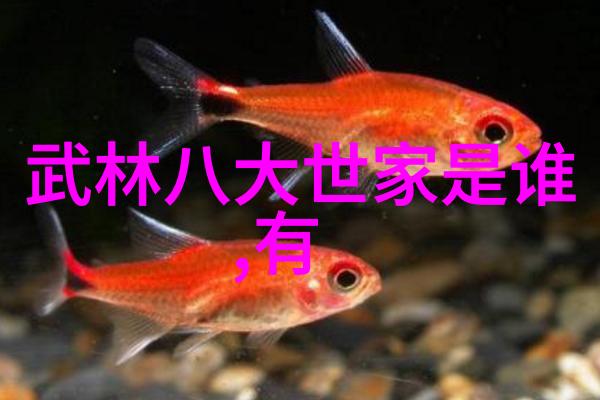 太极拳的意仿佛一位智慧老者静静地运行在每一个动作之中它既是武功也是武术既有深邃的内涵又有精湛的技艺在