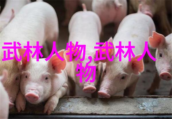 游泳池一个几万自由泳四步轻松学