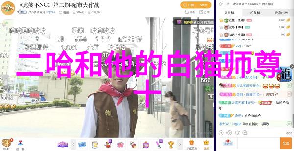 中国武术十强内功外化