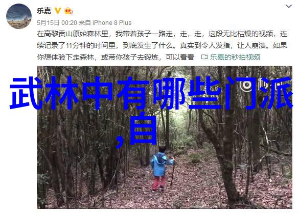 轻功秘籍一夜之间掌握风之步法
