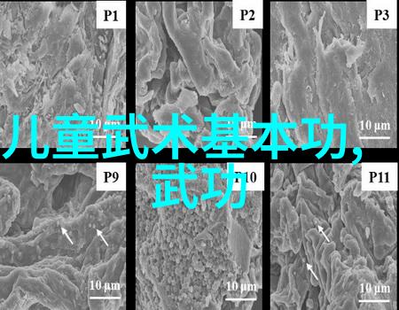 太极拳24式分解动作教学跟我一起练习太极拳24式的每一个精彩瞬间