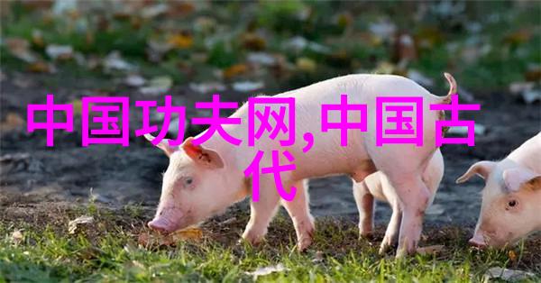 2017世界女排大奖赛总决赛中国队五大问题暴露于社会关注之下