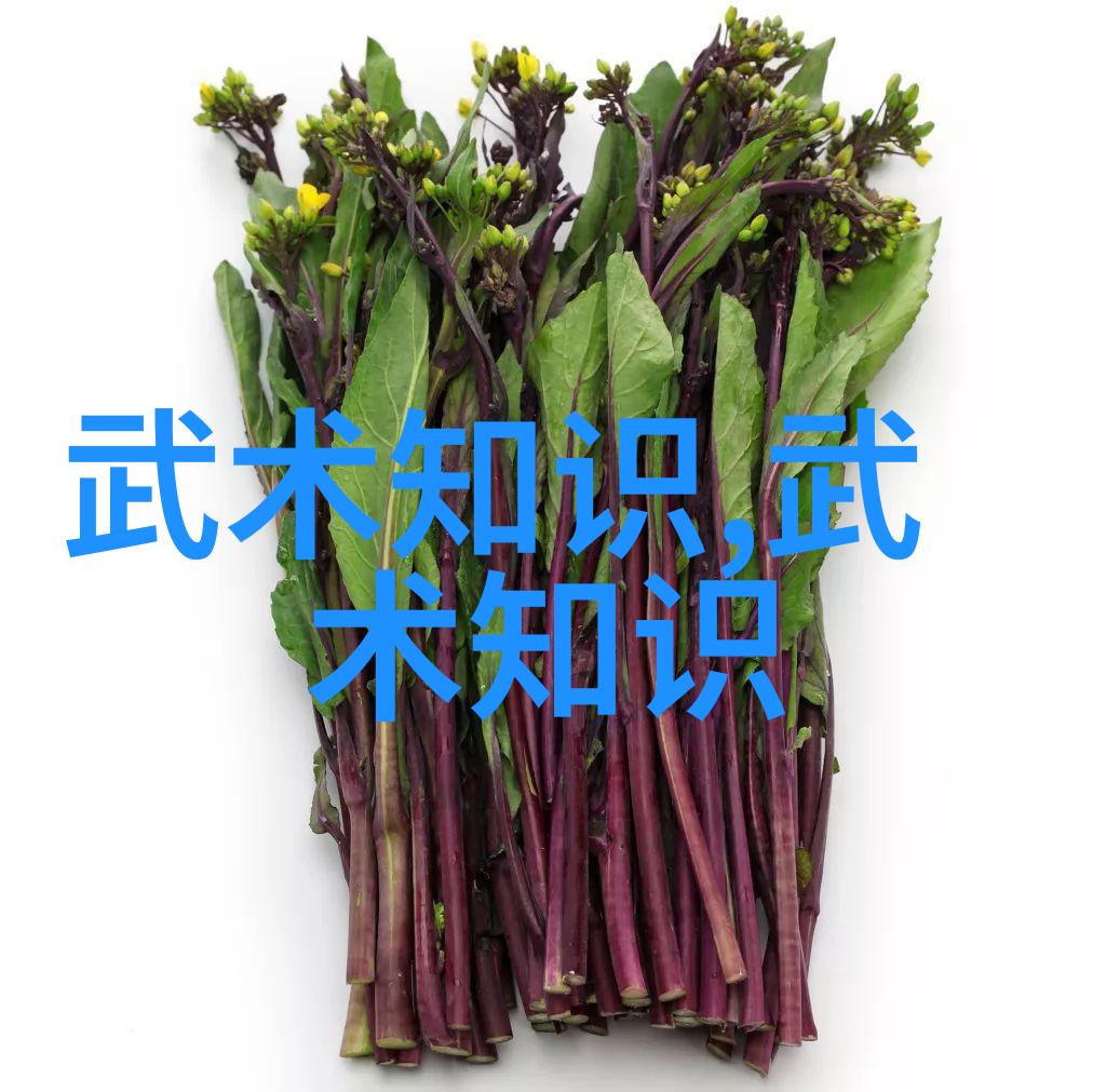 如何评价那些在历史上并未实战证明却声名远播的秘籍式拳脚技巧