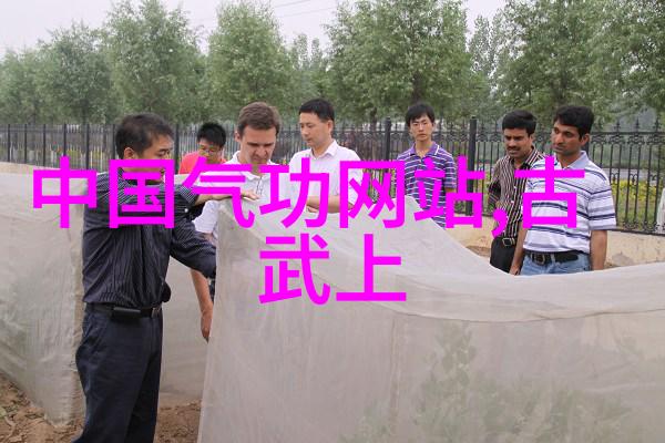 武林秘境掌门人传承戳脚翻子拳的秘密