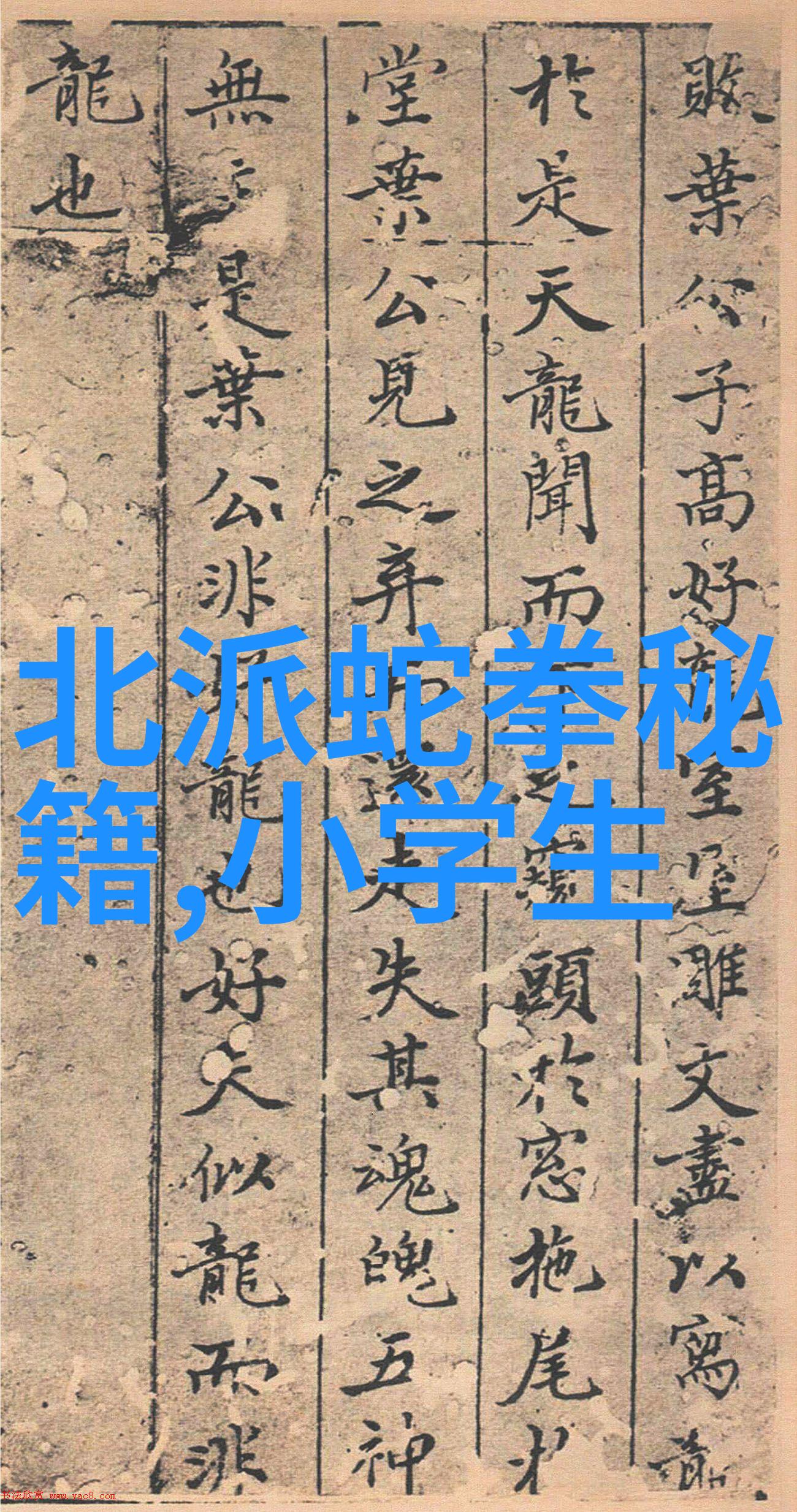 全球十大帮派门派拳种白猿通背