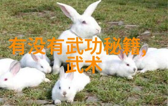 一夜恩宠命运的奇遇与爱情的启示