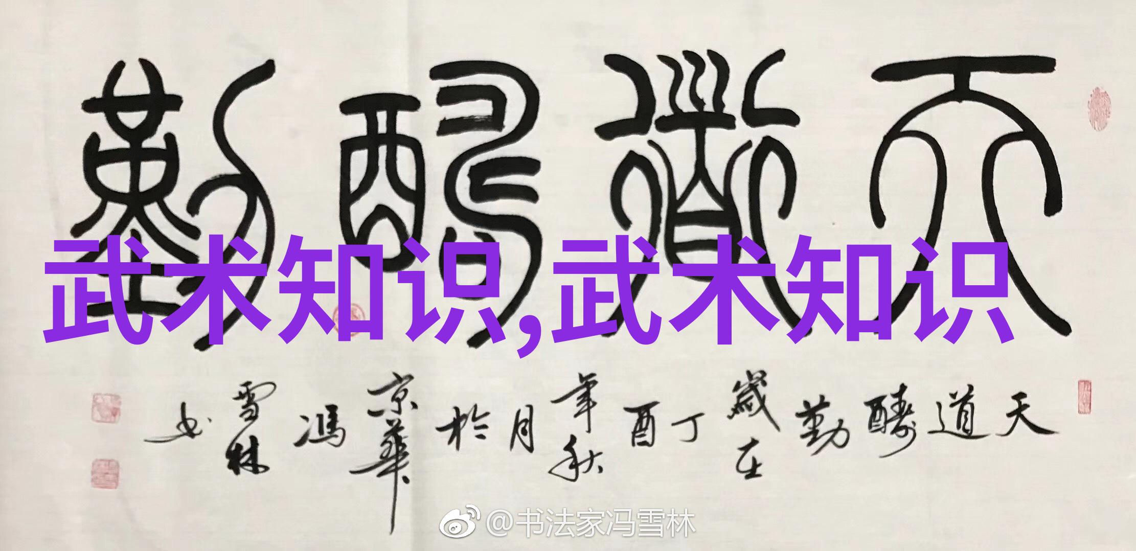 绝世神功武林八大派的隐秘之谜