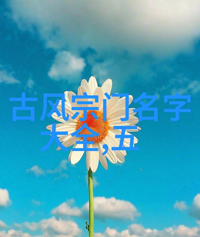 太极拳基础深入了解二十四式简化动作