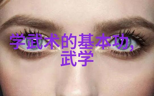 初学武术套路拳法掌握基础技巧踏上内功之旅