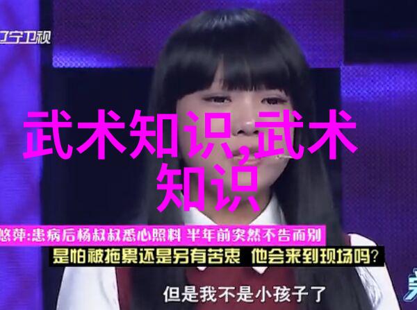 走进传统武术世界深入了解和学习太极拳24式图解过程