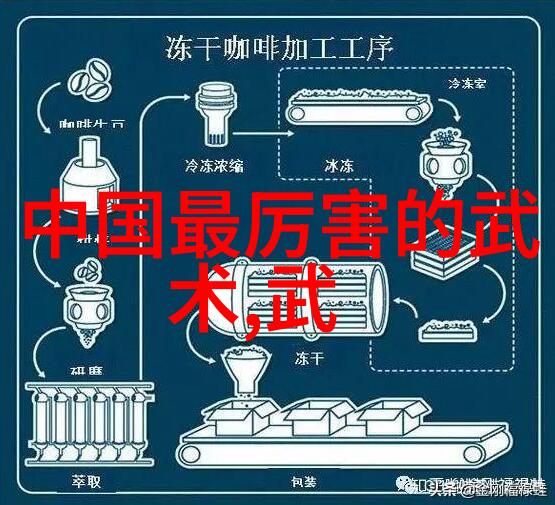 中国武术丰富多彩拳法之美中国武术中的各种拳法