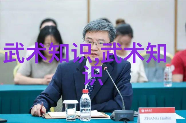 现代门派如同一座古老的宝库每个拳种都是内家拳中的一面神秘镜子映照着武林深邃的智慧