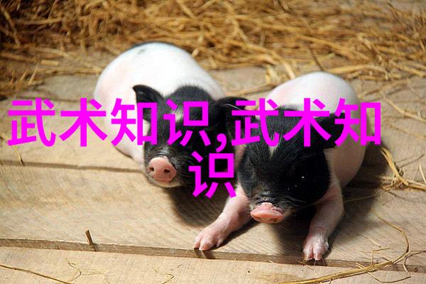 潮水的抖音风格日本RAPPER一姐的新境界探索