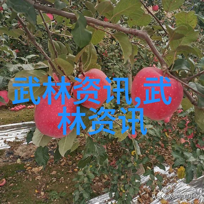 麻药搜查官追踪犯罪痕迹的高科技侦探