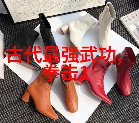 武功秘籍大全 拳法左脚尖之手挥琵琶高歌猛进