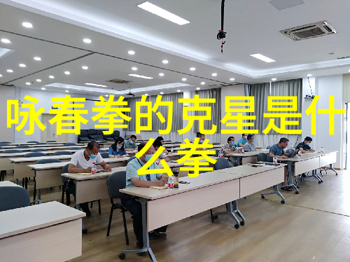 揭秘中国武功王守东的太极拳之谜