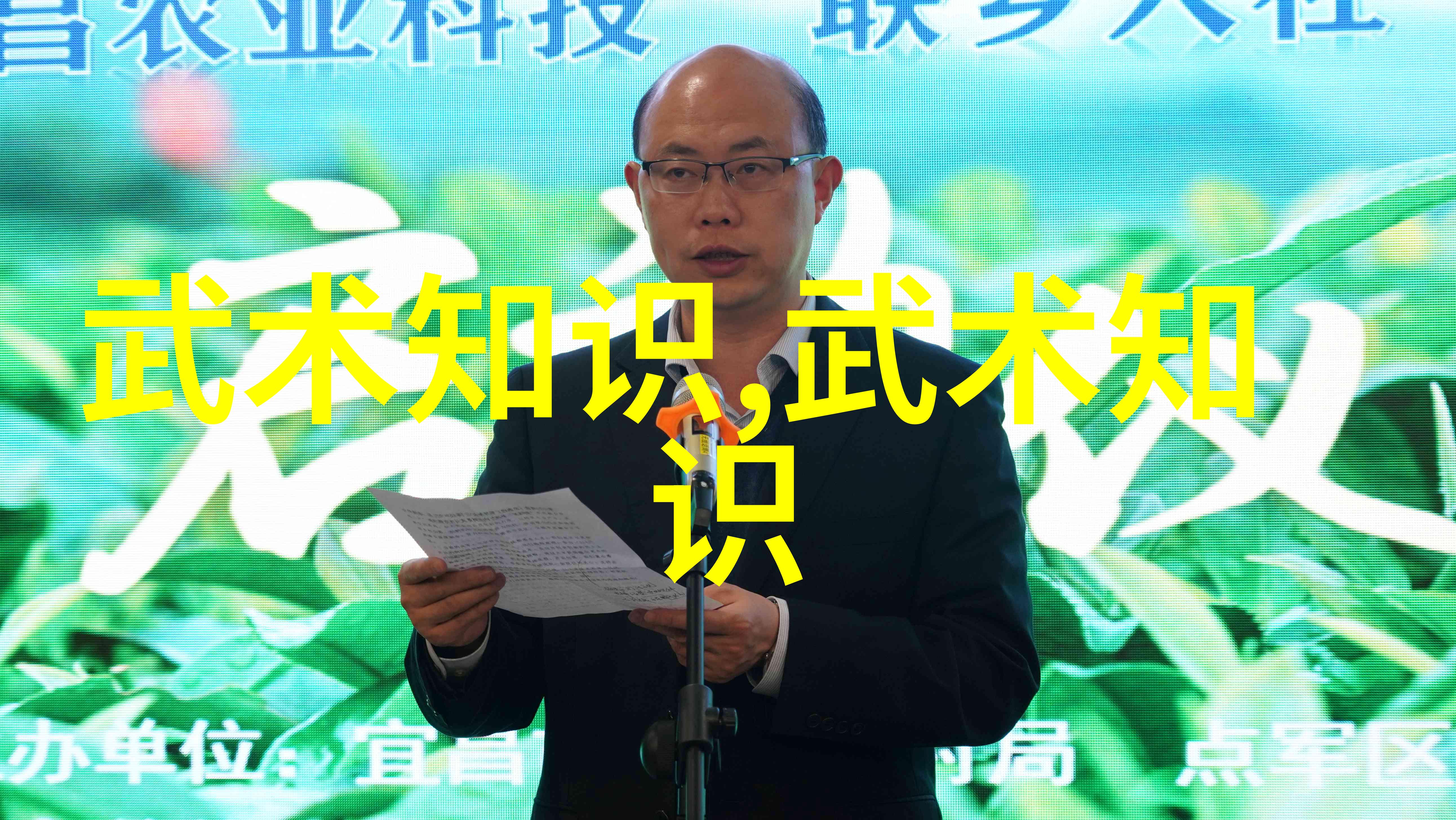 中国功夫秘籍大全-揭秘中华武术探索古代武林的智慧与技巧