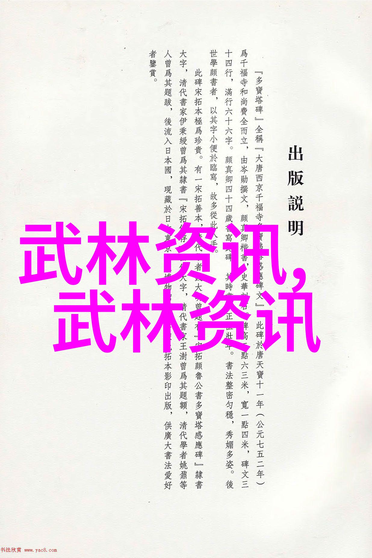 中国武术宝库十大高手的荣耀之路