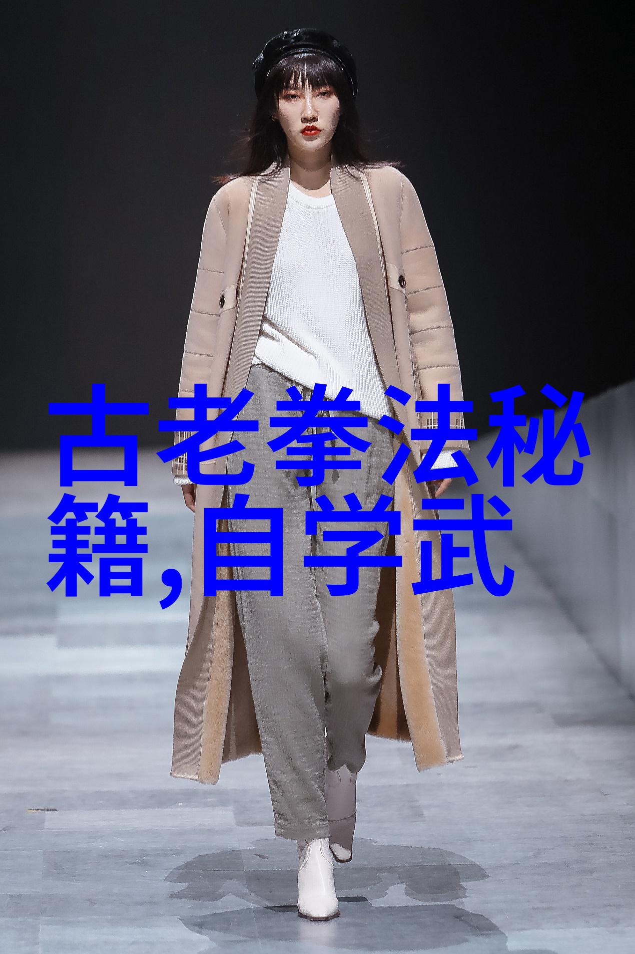 屠龙记中的二十一门派江湖中每个门派都有其独特的武学体系和文化背景