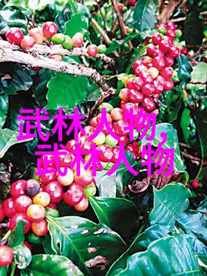 我该如何选择适合自己的武术类型