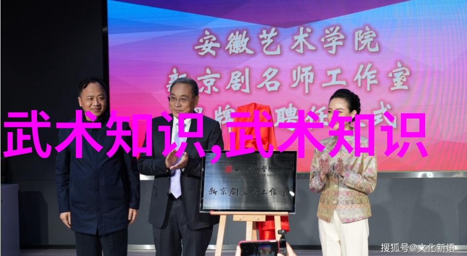 将理论转化为实践通过视频学习完善你的太极拳24式技巧