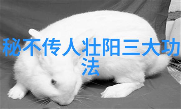 武林16大门派秘录揭秘江湖中最强的盟主与高手