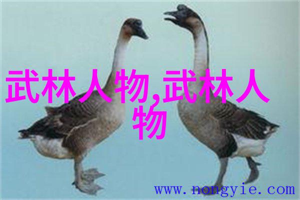 走进少林寺了解禅宗拳法的历史与实践