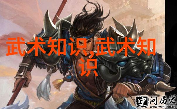 修炼身法秘籍通往内力大师的道路