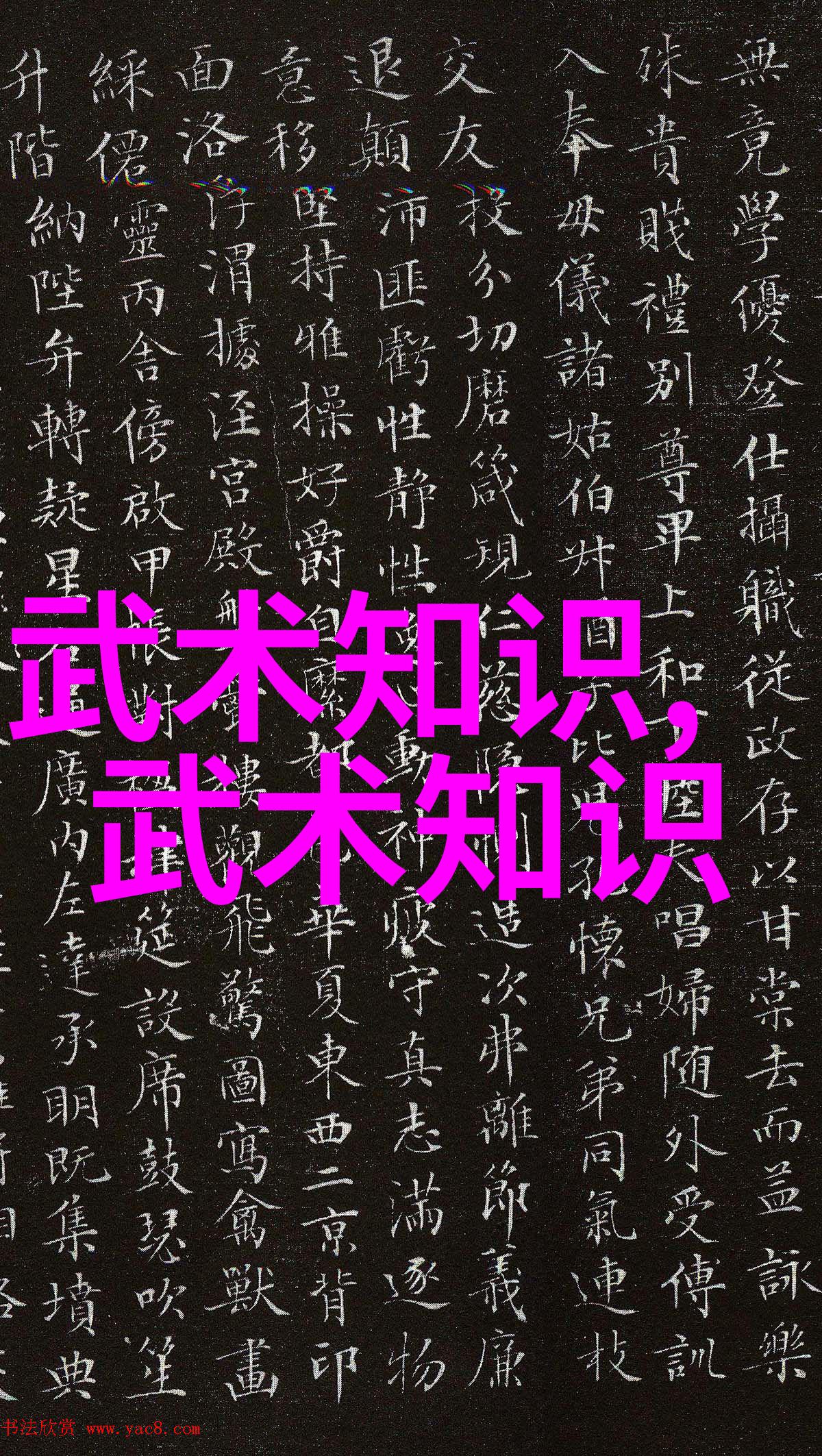 马巍然前解放军橄榄球队主教练逝世留下1995年橄榄球世界杯的辉煌足迹在大自然中悼念