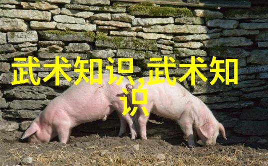 太极拳法之巅马权友的十六绝招