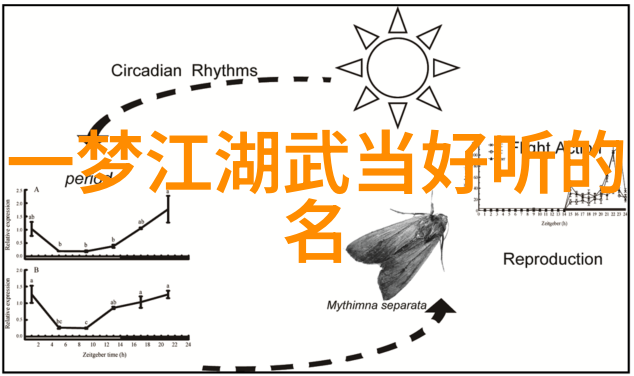 邱慧芳教授的完美24式太极拳全套教学掌握传统武术精髓