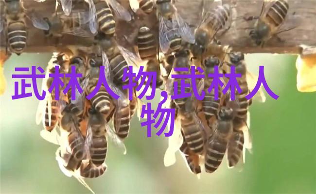 赵堡太极李宗有三合一拳练法初解探究形意拳最怕哪种拳在社会实战中的应用与防御策略张长林张顺林带你深入理