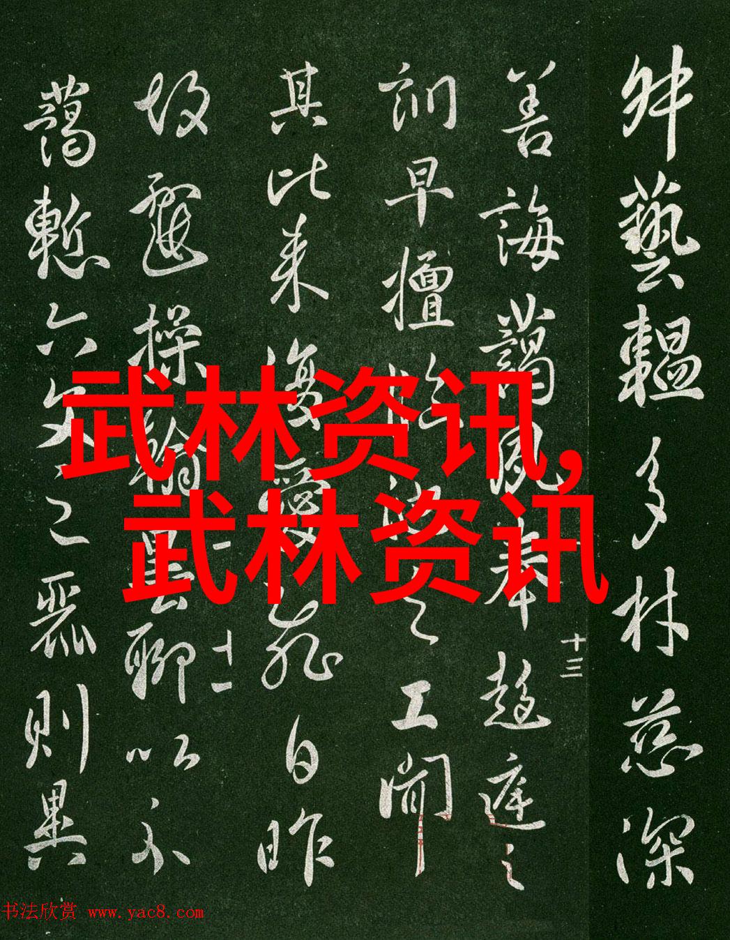 我想学武术自学怎么学揭秘自行练习武术的必备技巧