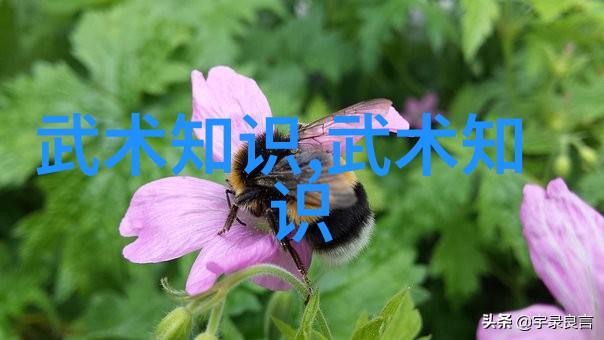 传统与现代融合如何让这十个古老武术适应现代战斗环境