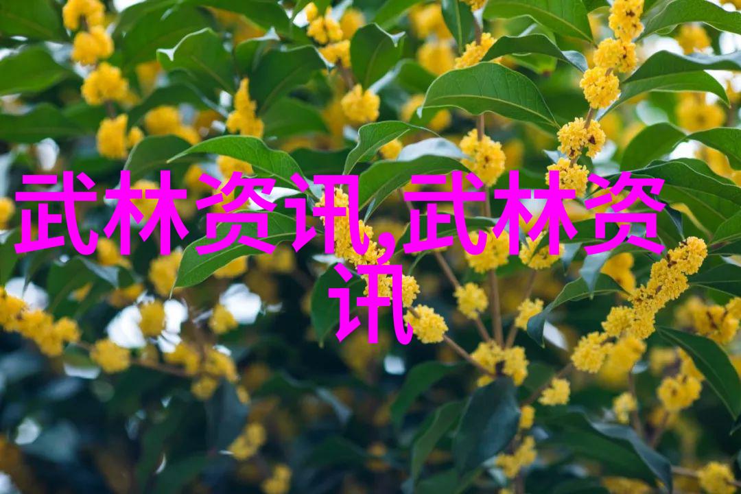 武学秘籍悟道于练功