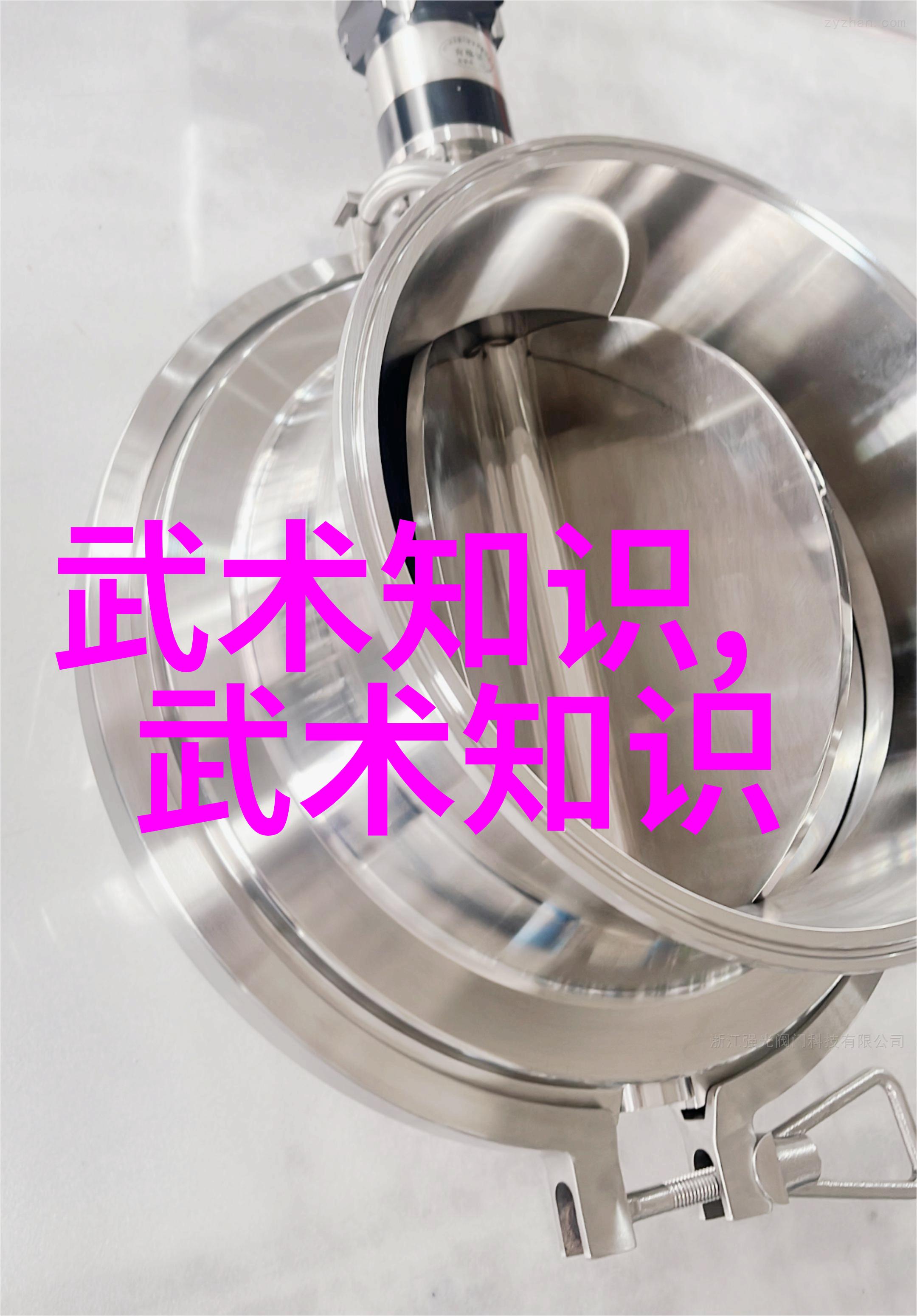 武林风云 我的探秘之旅揭秘那些隐藏在传说中的武林十大门派名字背后的故事