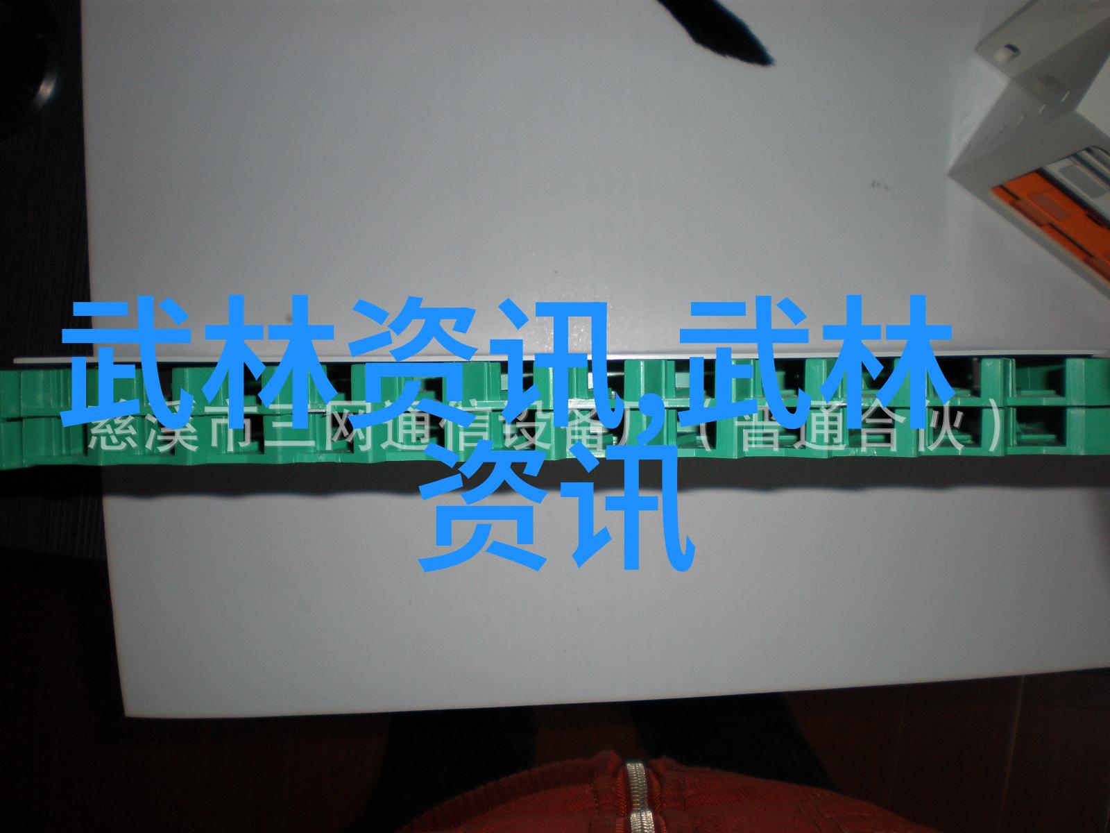 太极拳在自然中的历史探究与未来发展策略邱慧芳24式太极拳全套教学研究